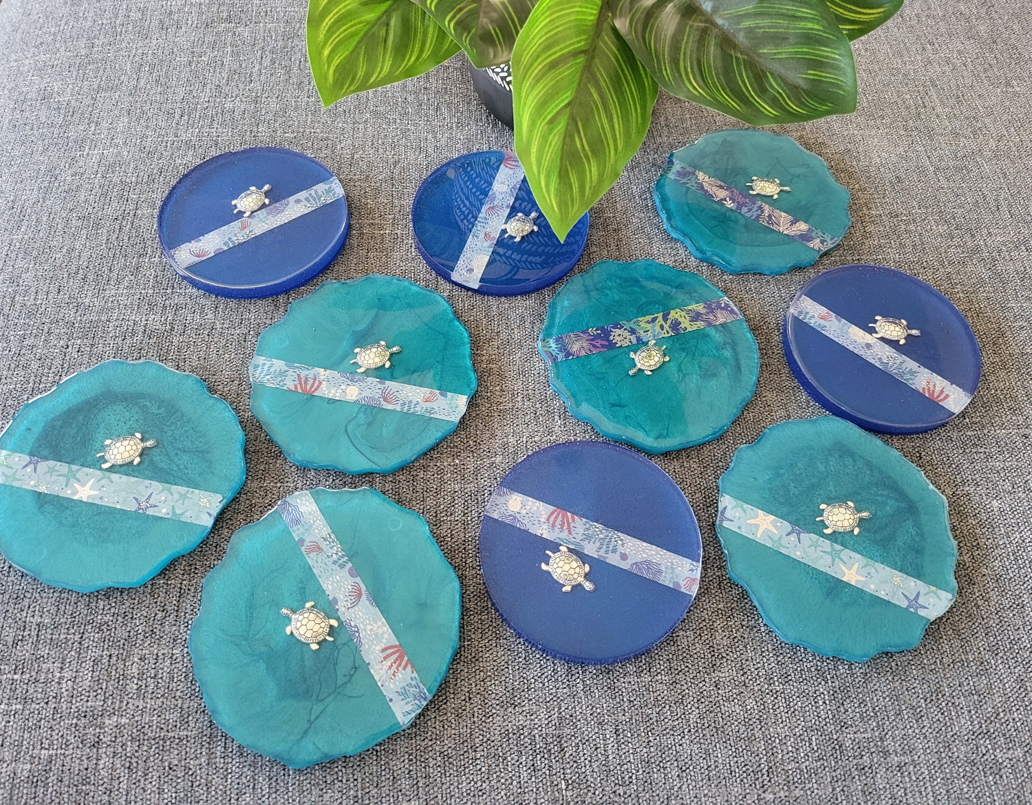 SEA LIFE COASTERS